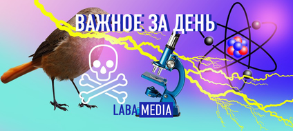 Депрессия приходит к умным, а кур кодируют от гриппа