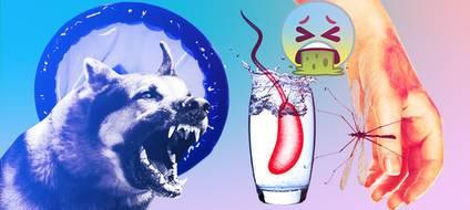 8 опасных (и отвратительных) экспериментов ученых над собой