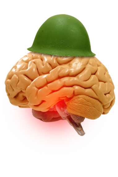 Нейробиология войны